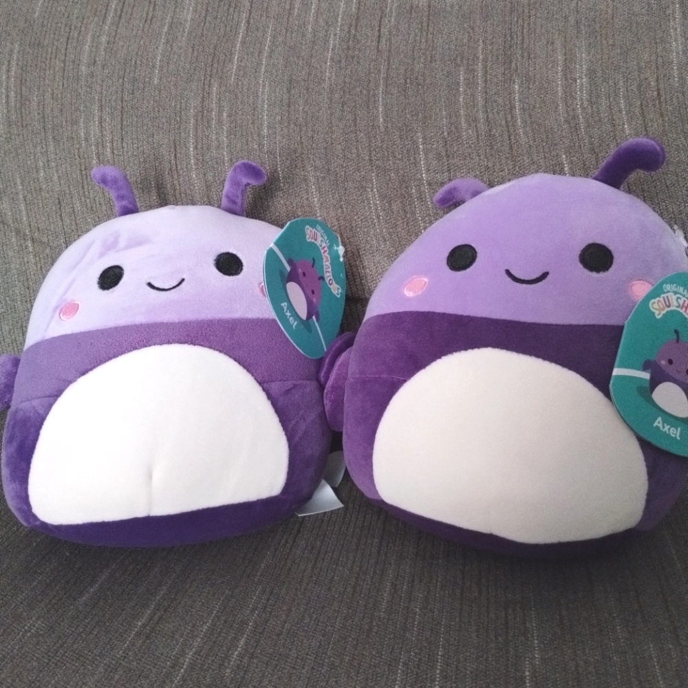 NWT PAIR of Beetle Squishmallows!!